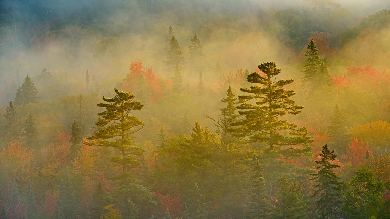 https://bing.ee123.net/img/rand?artid=127584192