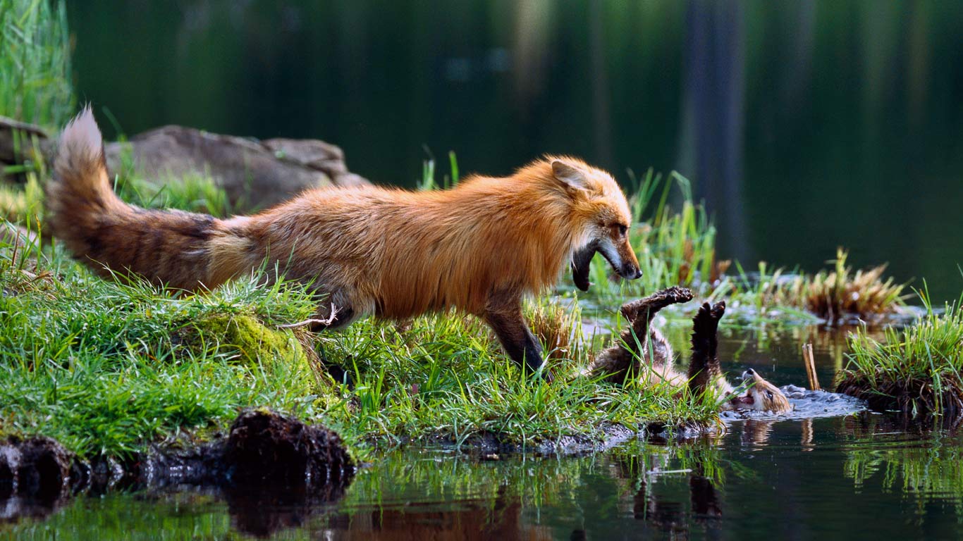 https://bing.ee123.net/img/rand?artid=128174730