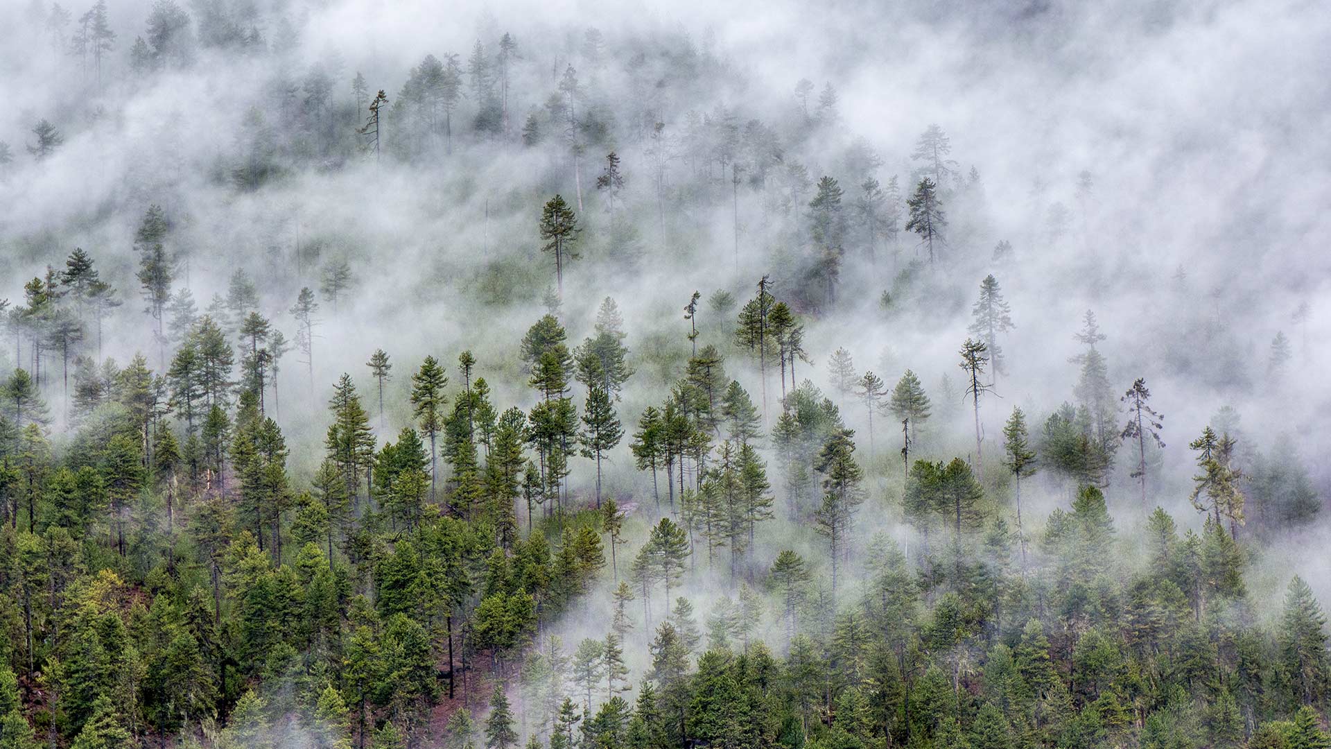 https://bing.ee123.net/img/rand?artid=129693140
