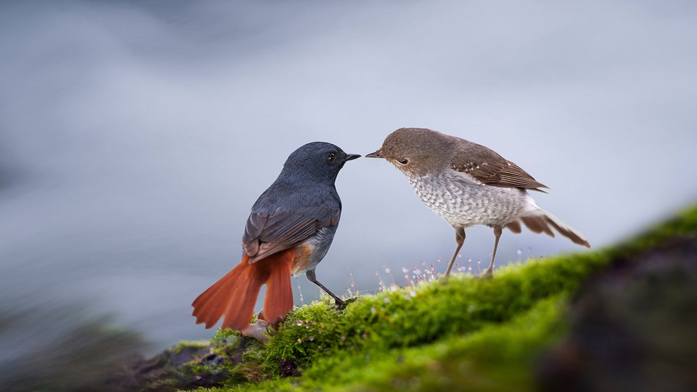 https://bing.ee123.net/img/rand?artid=129712771
