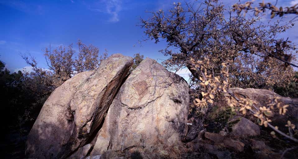 https://bing.ee123.net/img/rand?artid=129871734