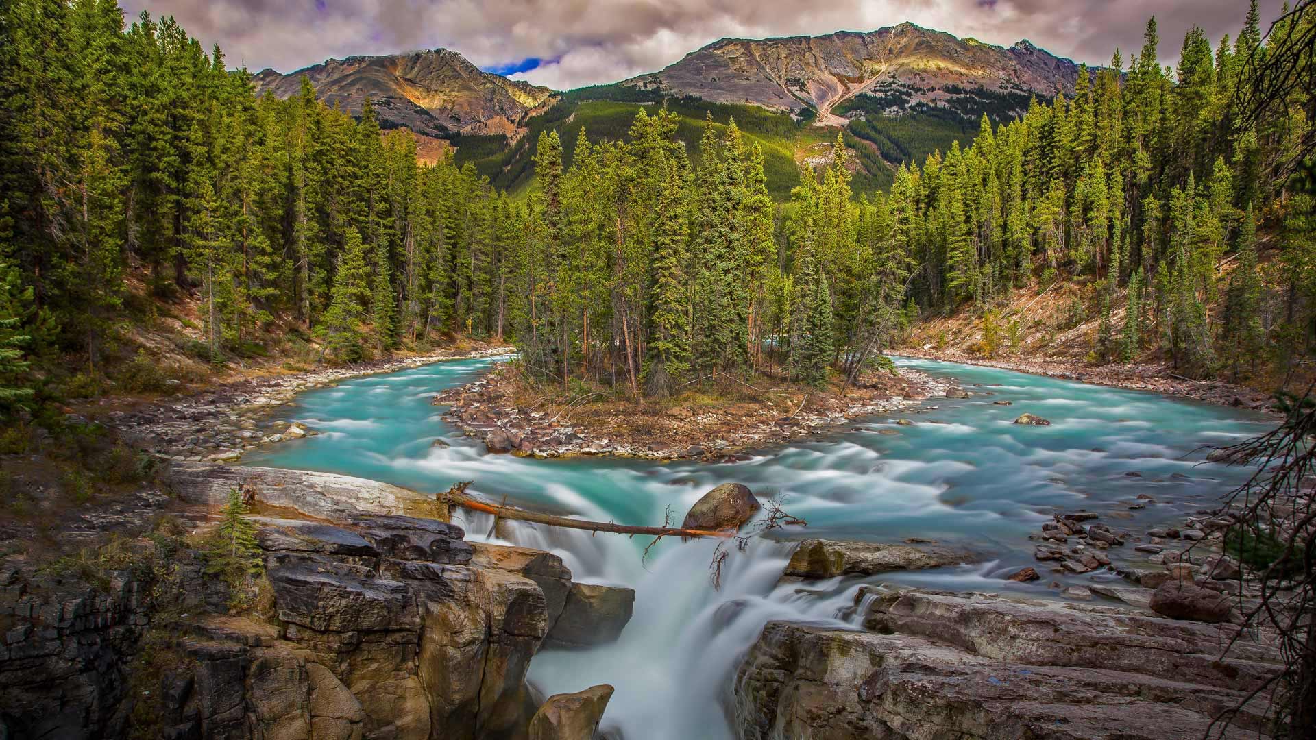 https://bing.ee123.net/img/rand?artid=131691693
