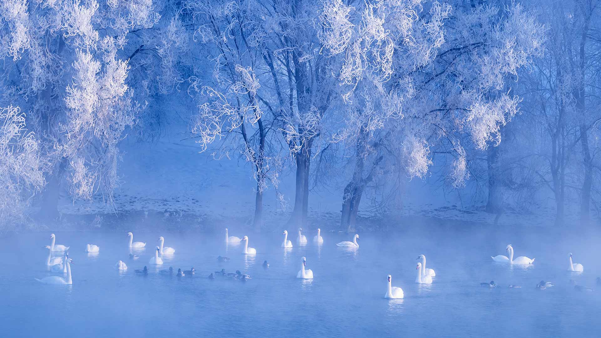 https://bing.ee123.net/img/rand?artid=132314587