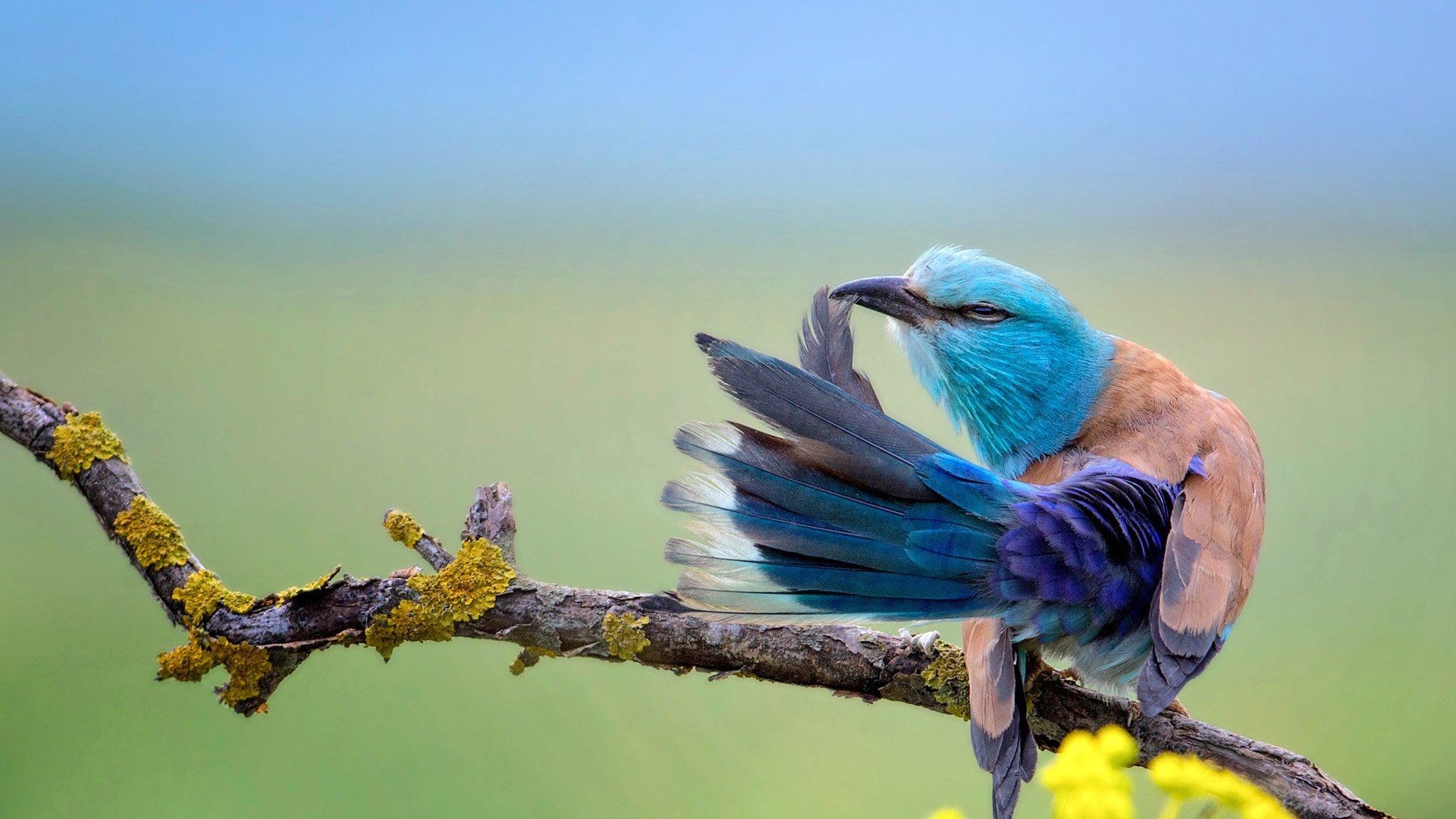 https://bing.ee123.net/img/rand?artid=132608274