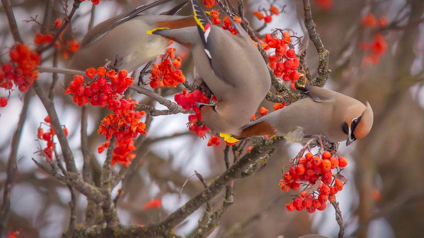 https://bing.ee123.net/img/rand?artid=135756549