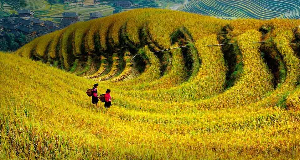 https://bing.ee123.net/img/rand?artid=136057732