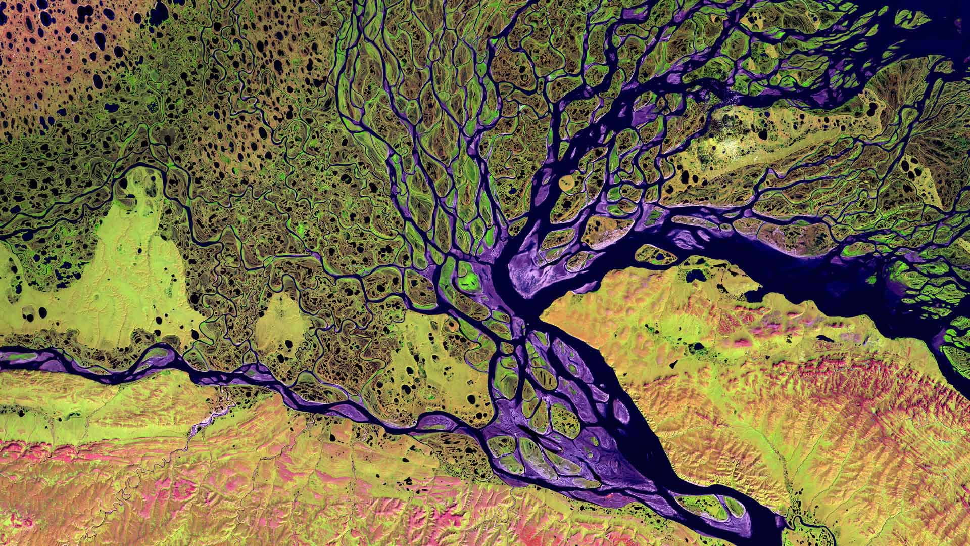 https://bing.ee123.net/img/rand?artid=136793264