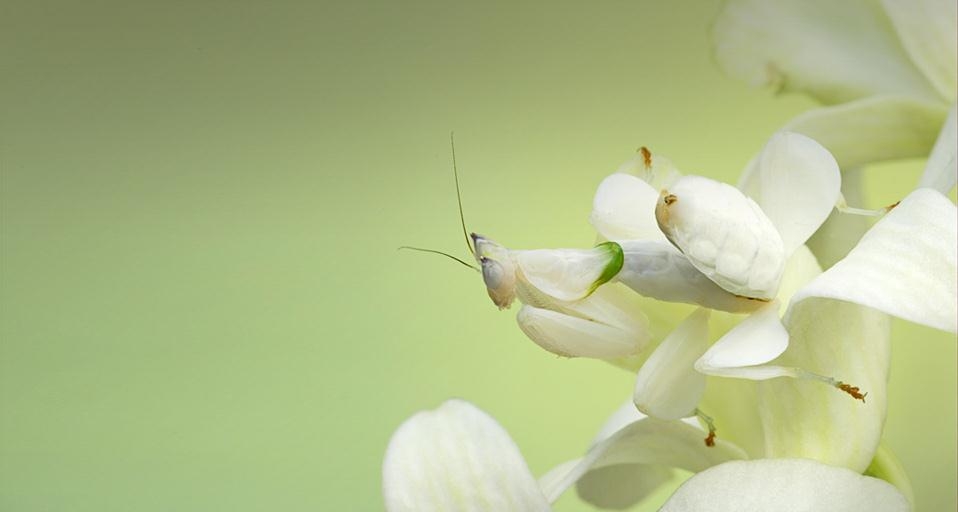 https://bing.ee123.net/img/rand?artid=13720767