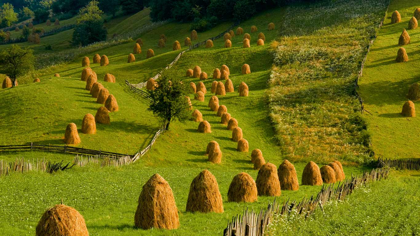 https://bing.ee123.net/img/rand?artid=137725807