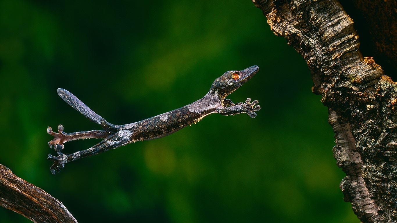 https://bing.ee123.net/img/rand?artid=140765428