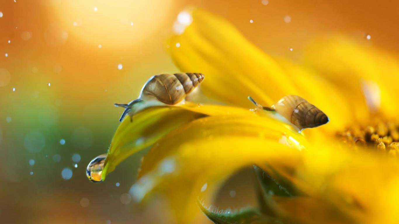 https://bing.ee123.net/img/rand?artid=140770427