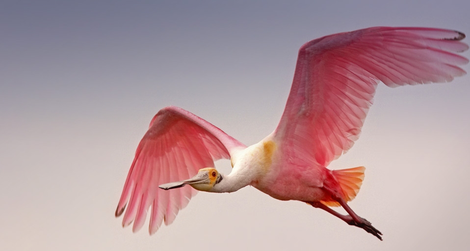 https://bing.ee123.net/img/rand?artid=141128931