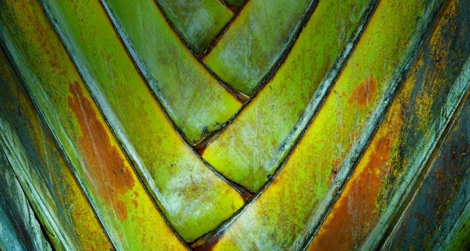 https://bing.ee123.net/img/rand?artid=142177960