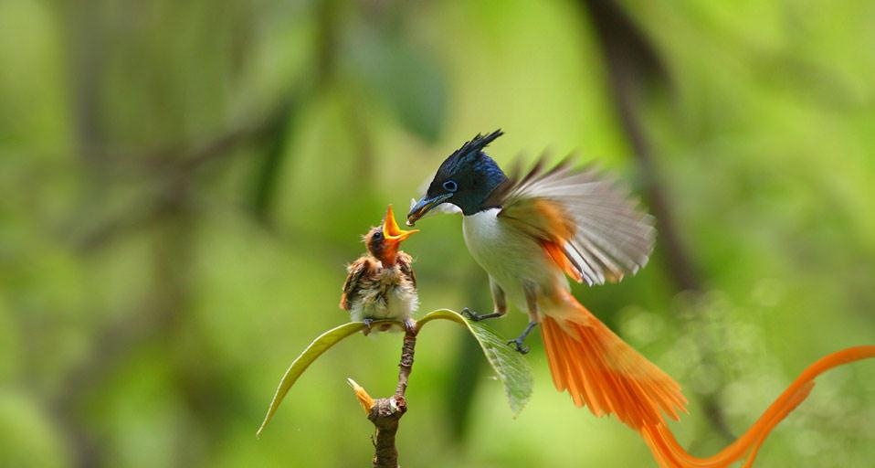 https://bing.ee123.net/img/rand?artid=142212826