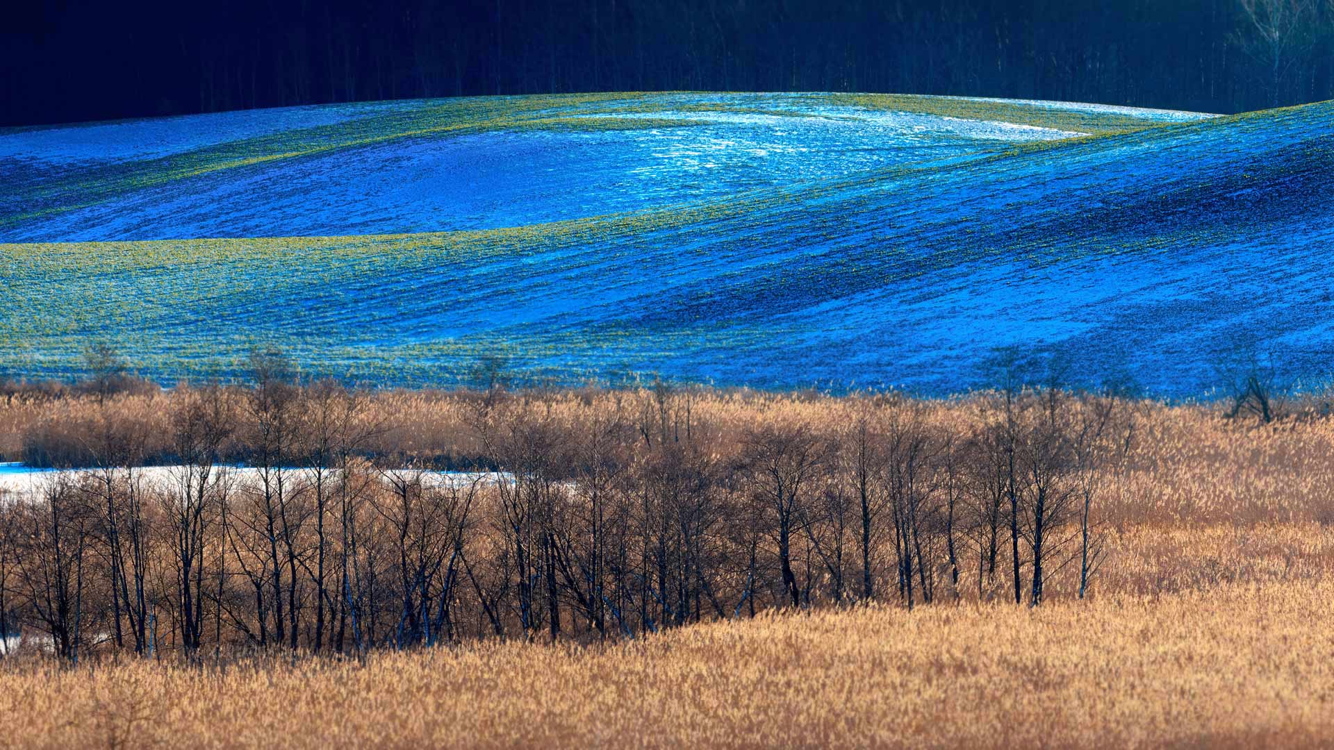 https://bing.ee123.net/img/rand?artid=142680383