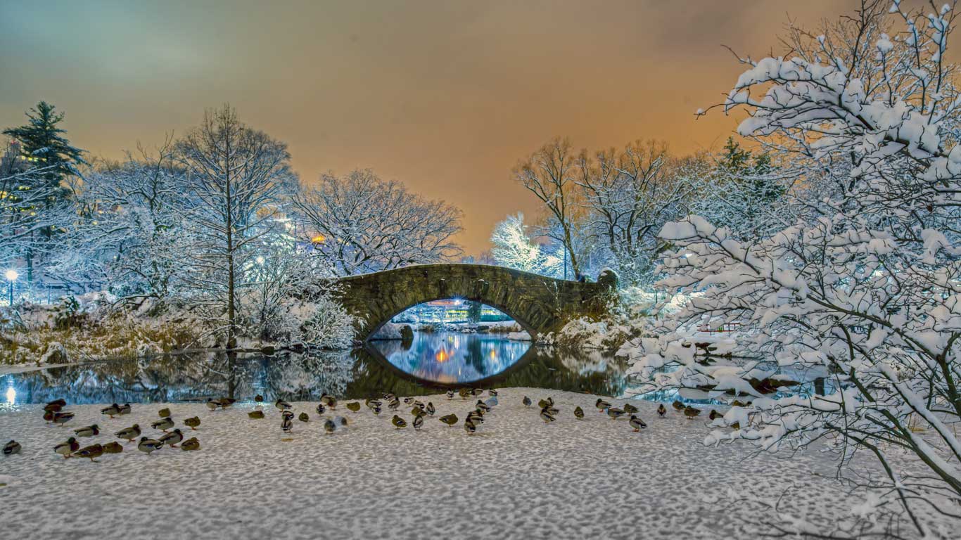 https://bing.ee123.net/img/rand?artid=143554213