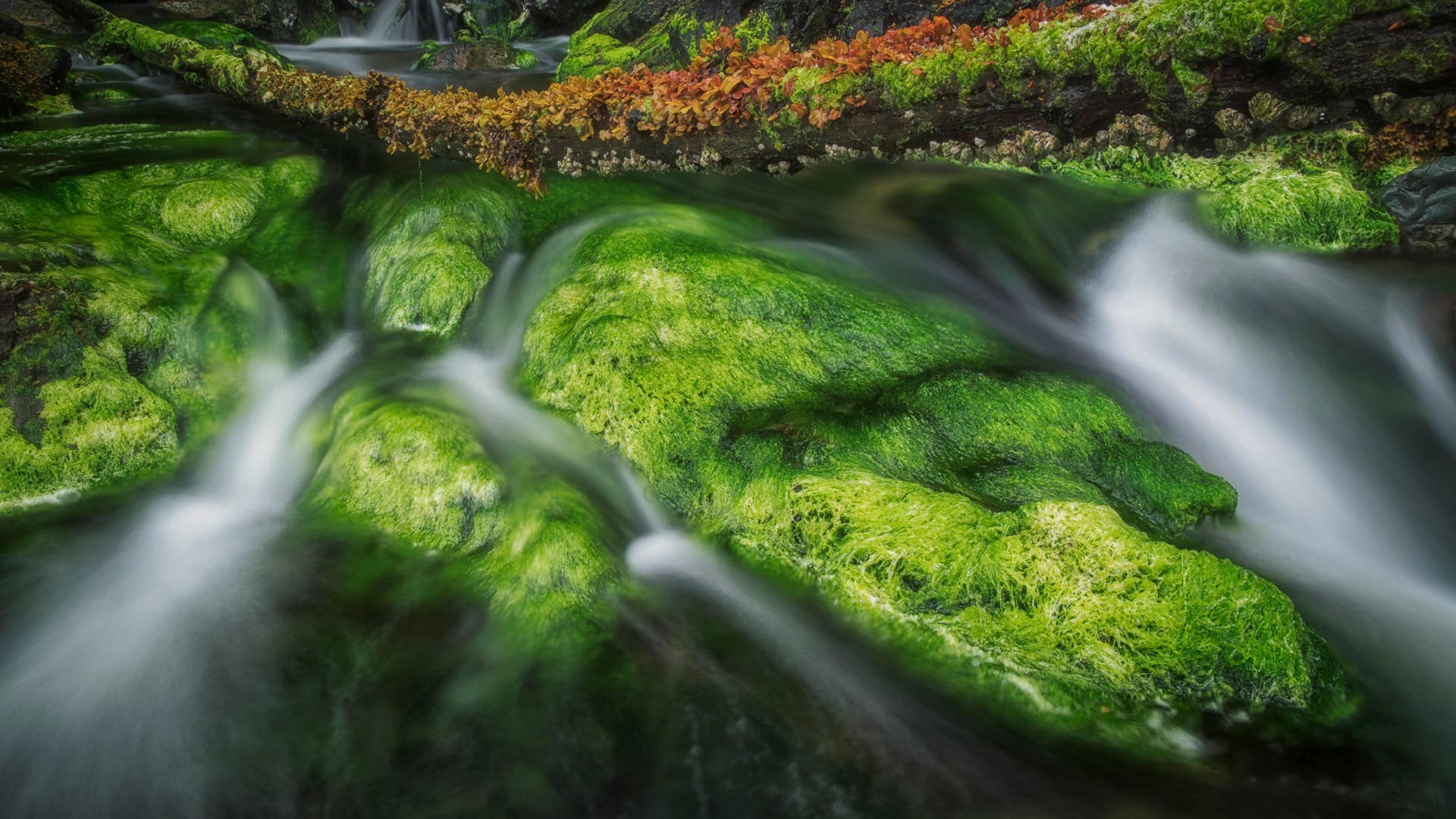 https://bing.ee123.net/img/rand?artid=143568675
