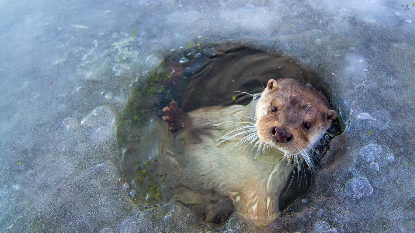https://bing.ee123.net/img/rand?artid=144265027