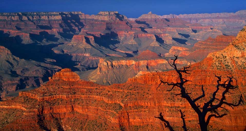 https://bing.ee123.net/img/rand?artid=145889399
