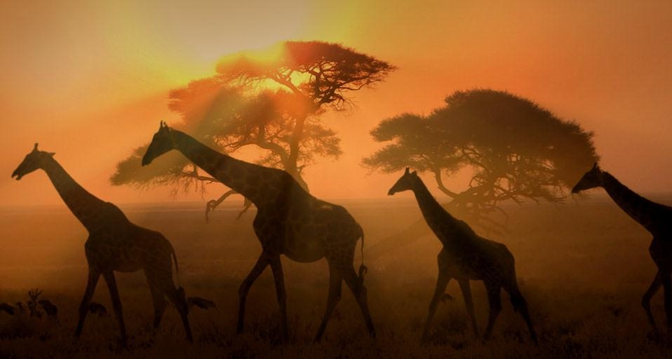 https://bing.ee123.net/img/rand?artid=145916798