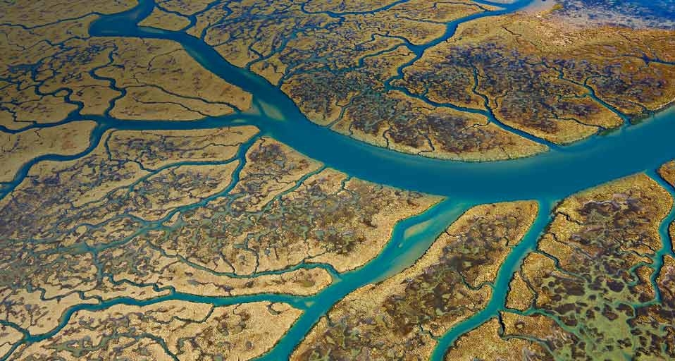 https://bing.ee123.net/img/rand?artid=145971904