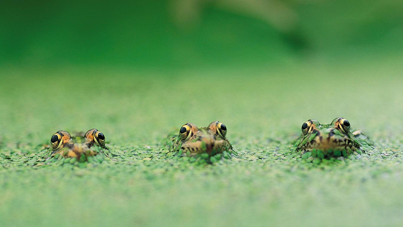 https://bing.ee123.net/img/rand?artid=146062522