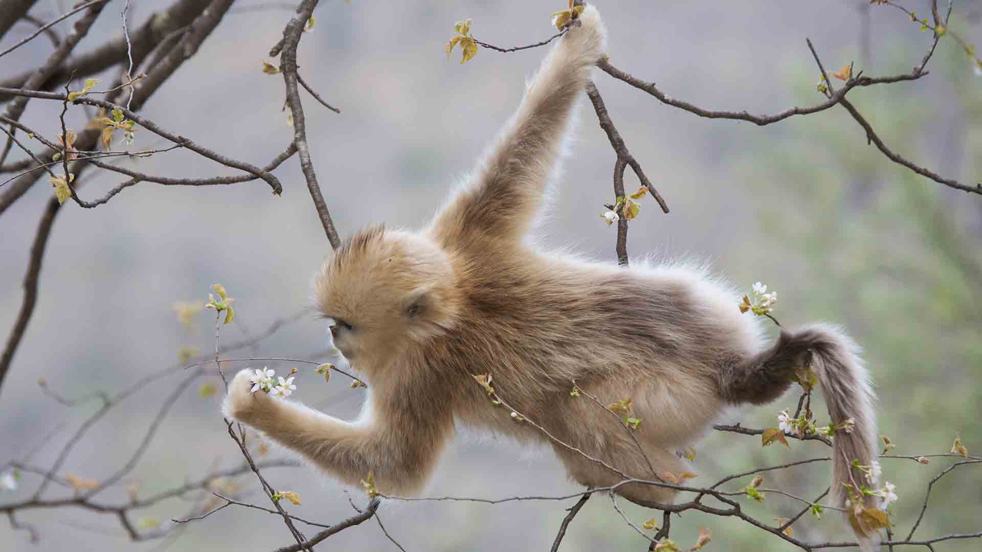 https://bing.ee123.net/img/rand?artid=146063132