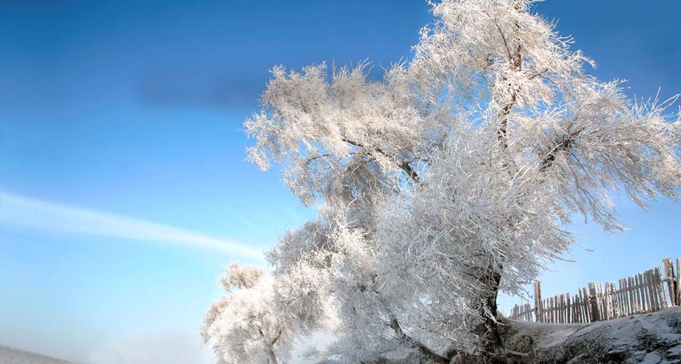 https://bing.ee123.net/img/rand?artid=146066957