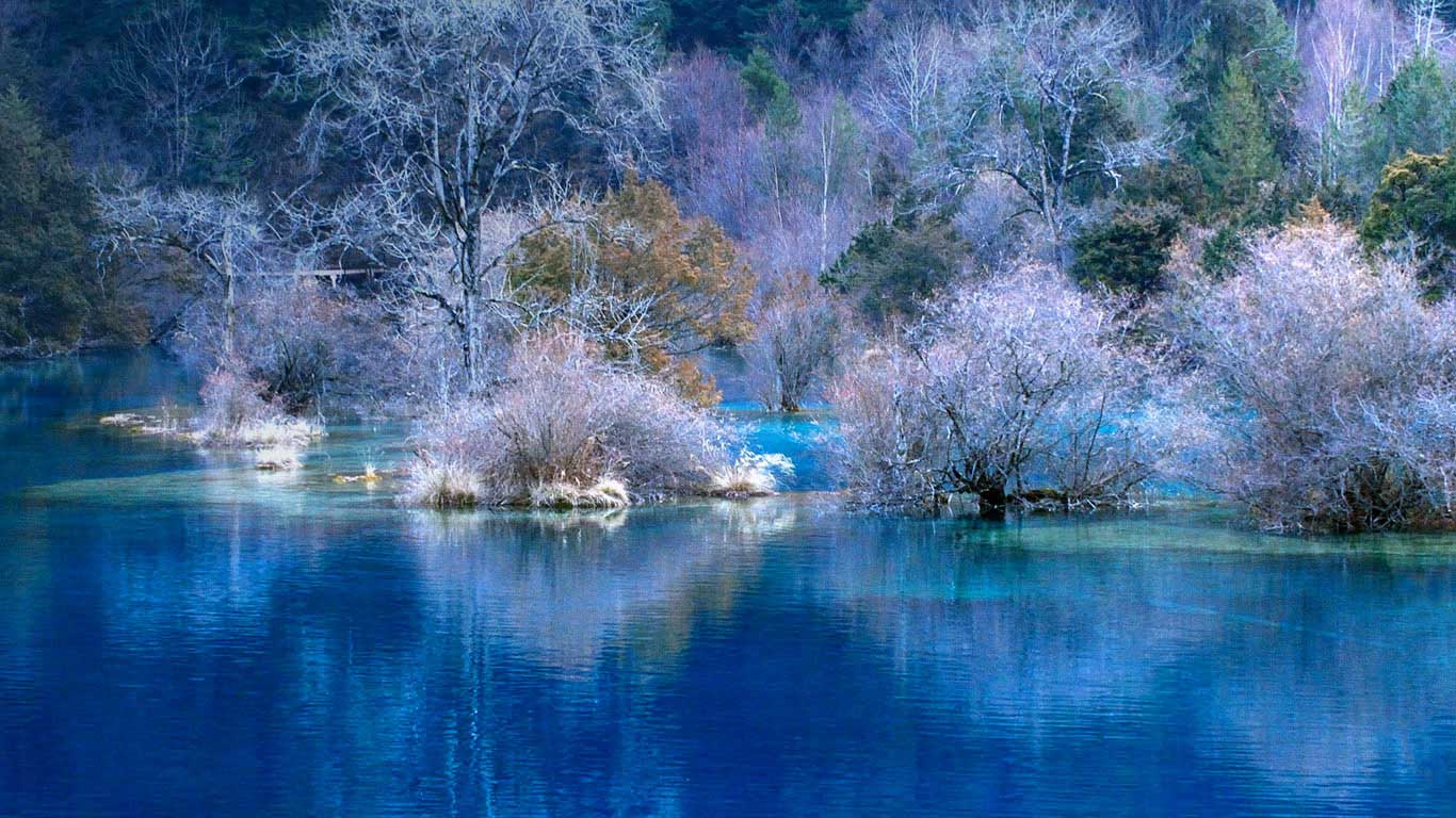 https://bing.ee123.net/img/rand?artid=146081140