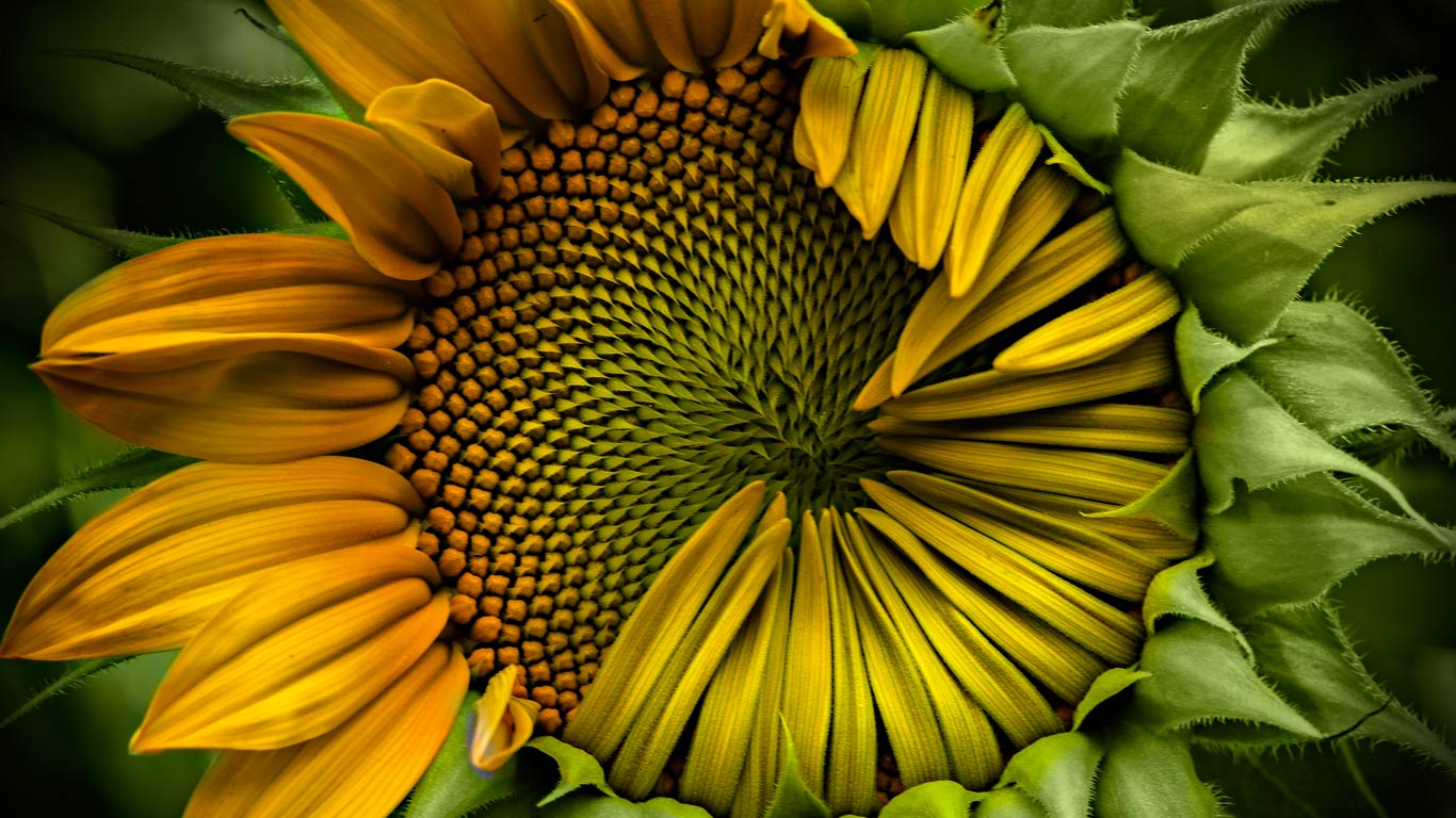 https://bing.ee123.net/img/rand?artid=146090450