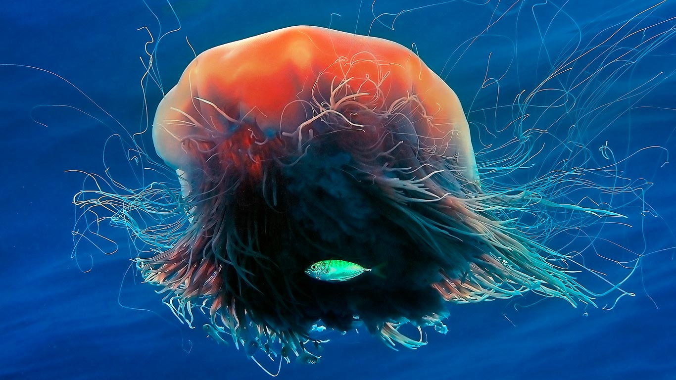https://bing.ee123.net/img/rand?artid=146102759