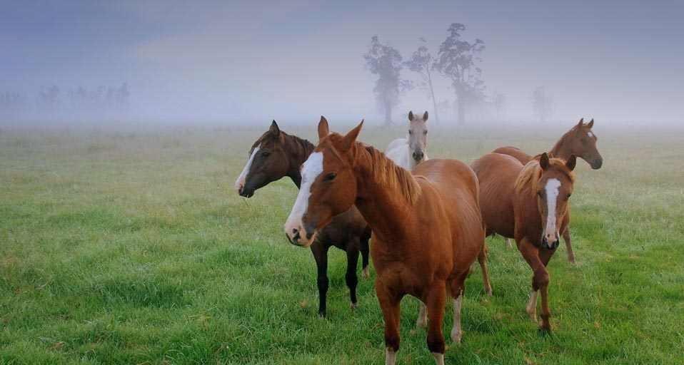 https://bing.ee123.net/img/rand?artid=146104719