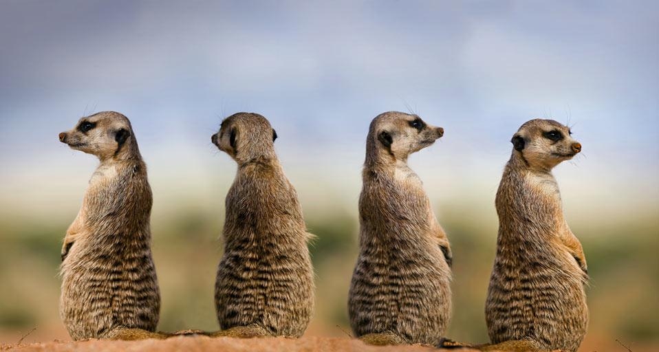 https://bing.ee123.net/img/rand?artid=146110994