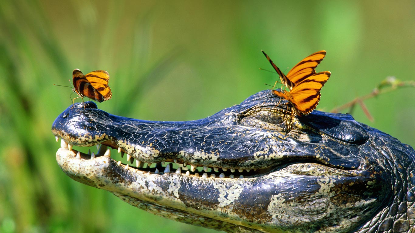 https://bing.ee123.net/img/rand?artid=146119712