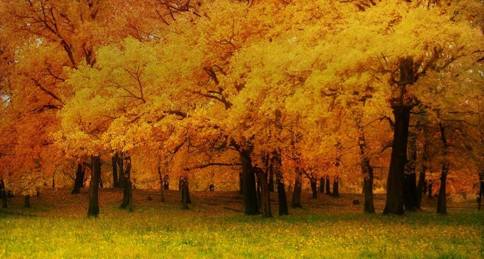 https://bing.ee123.net/img/rand?artid=146130730