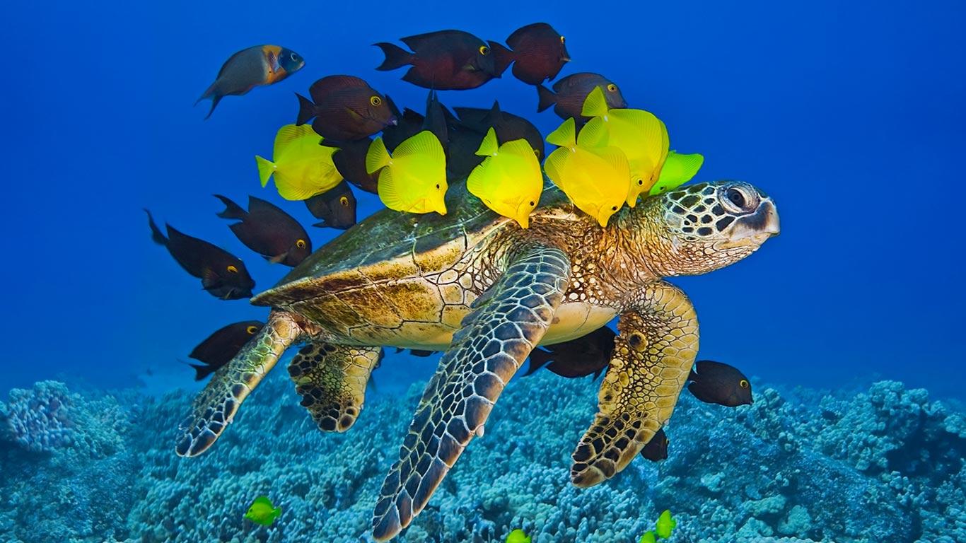 https://bing.ee123.net/img/rand?artid=146140237