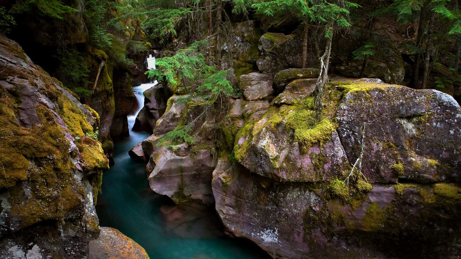https://bing.ee123.net/img/rand?artid=146158246