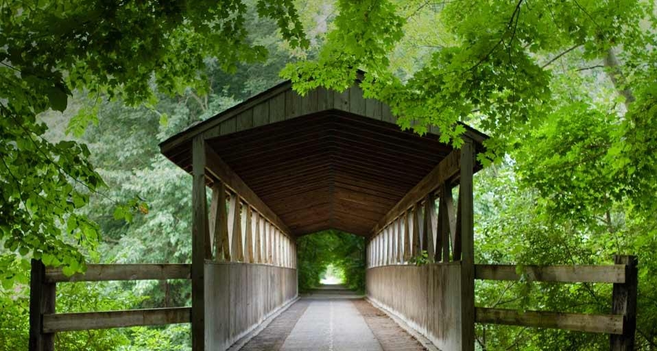 https://bing.ee123.net/img/rand?artid=146159613