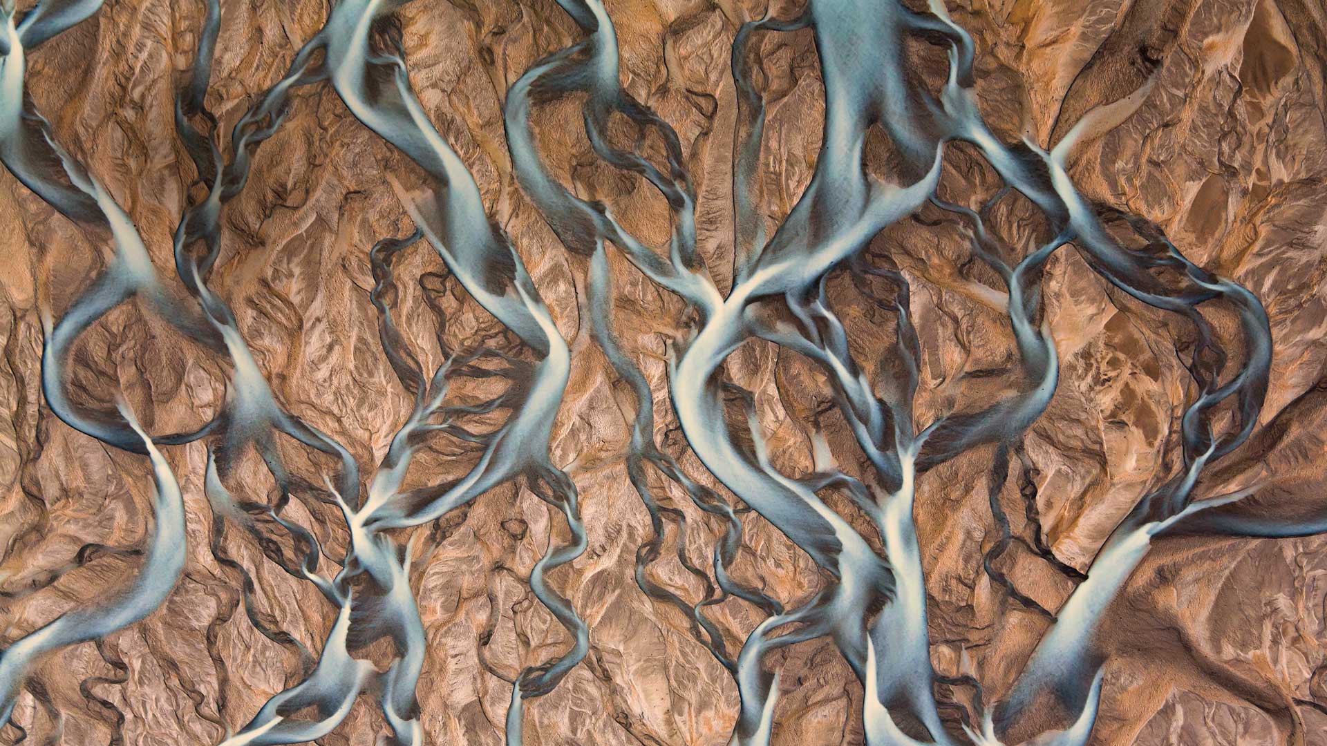 https://bing.ee123.net/img/rand?artid=146171071
