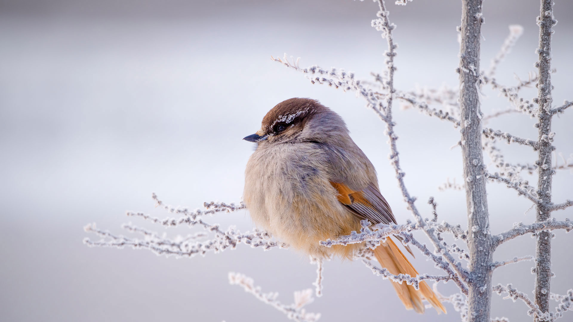 https://bing.ee123.net/img/rand?artid=146183140