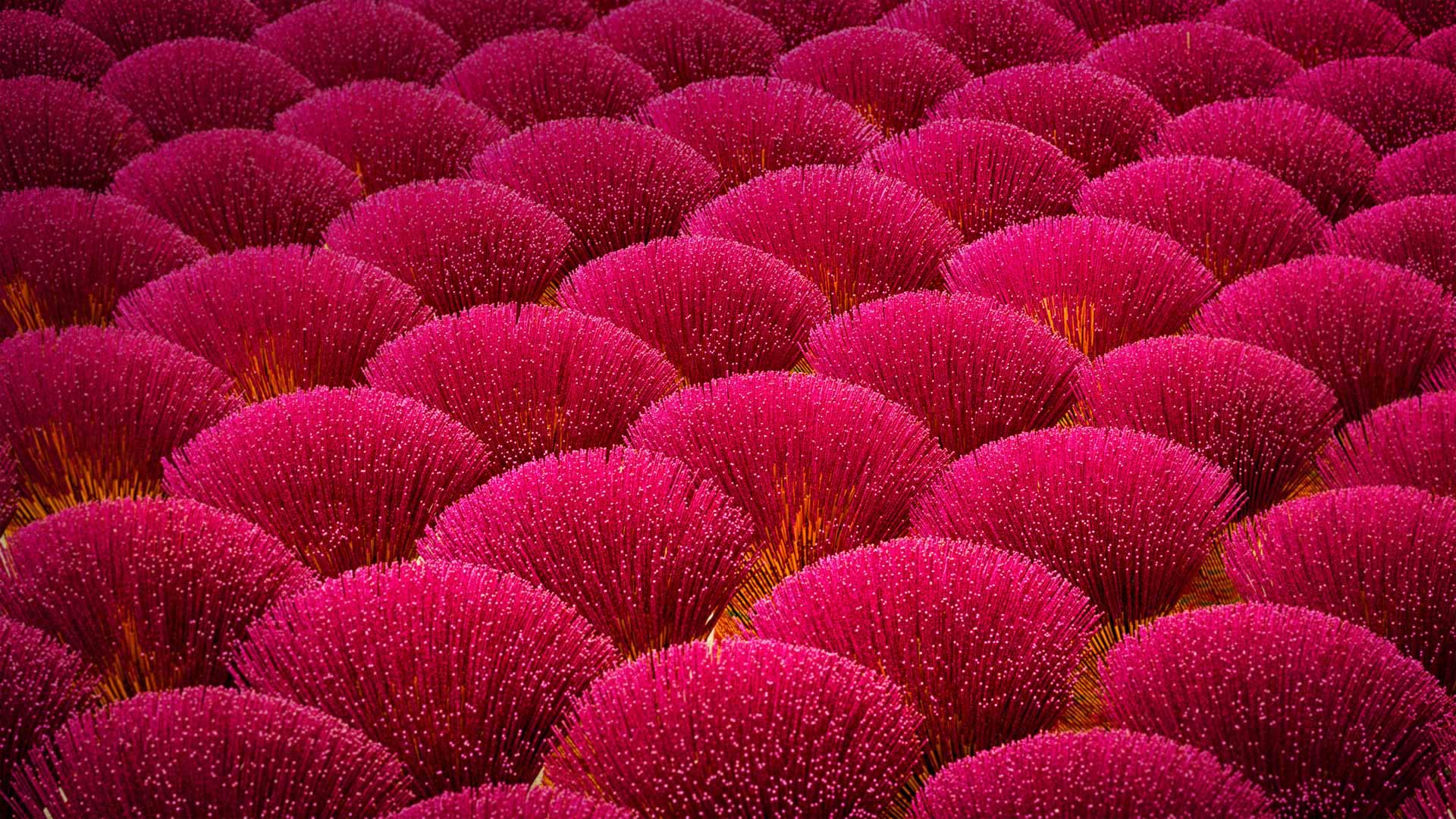 https://bing.ee123.net/img/rand?artid=146188736