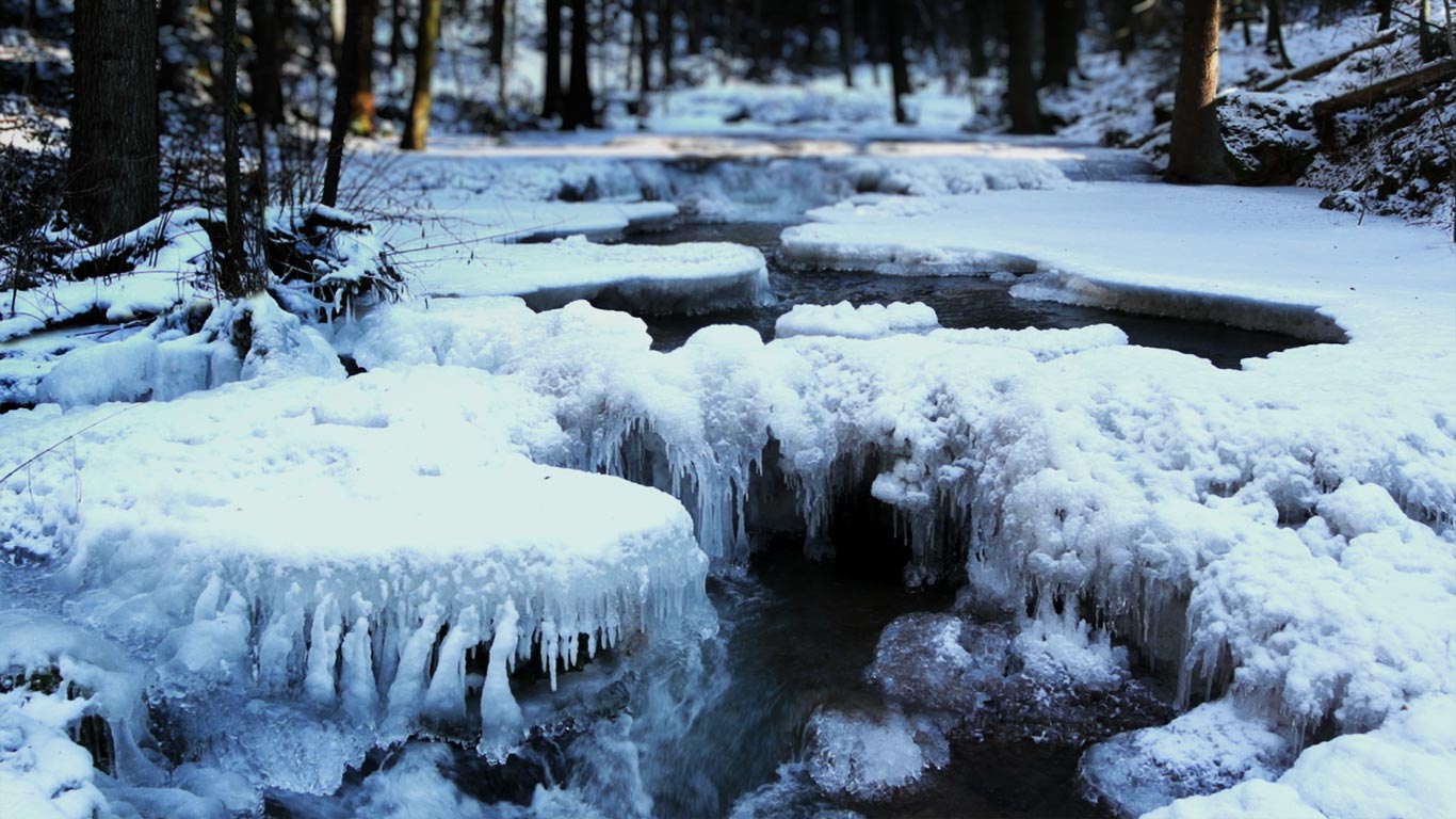 https://bing.ee123.net/img/rand?artid=146204987