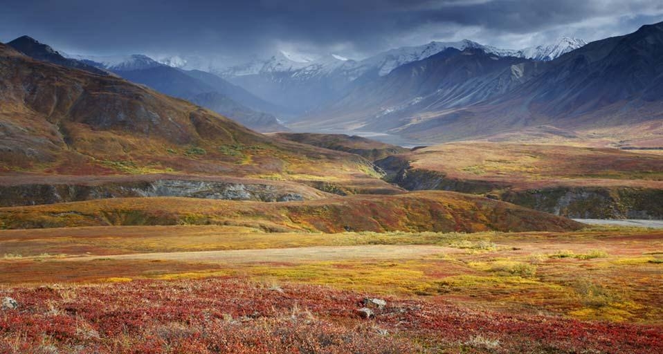 https://bing.ee123.net/img/rand?artid=146228897