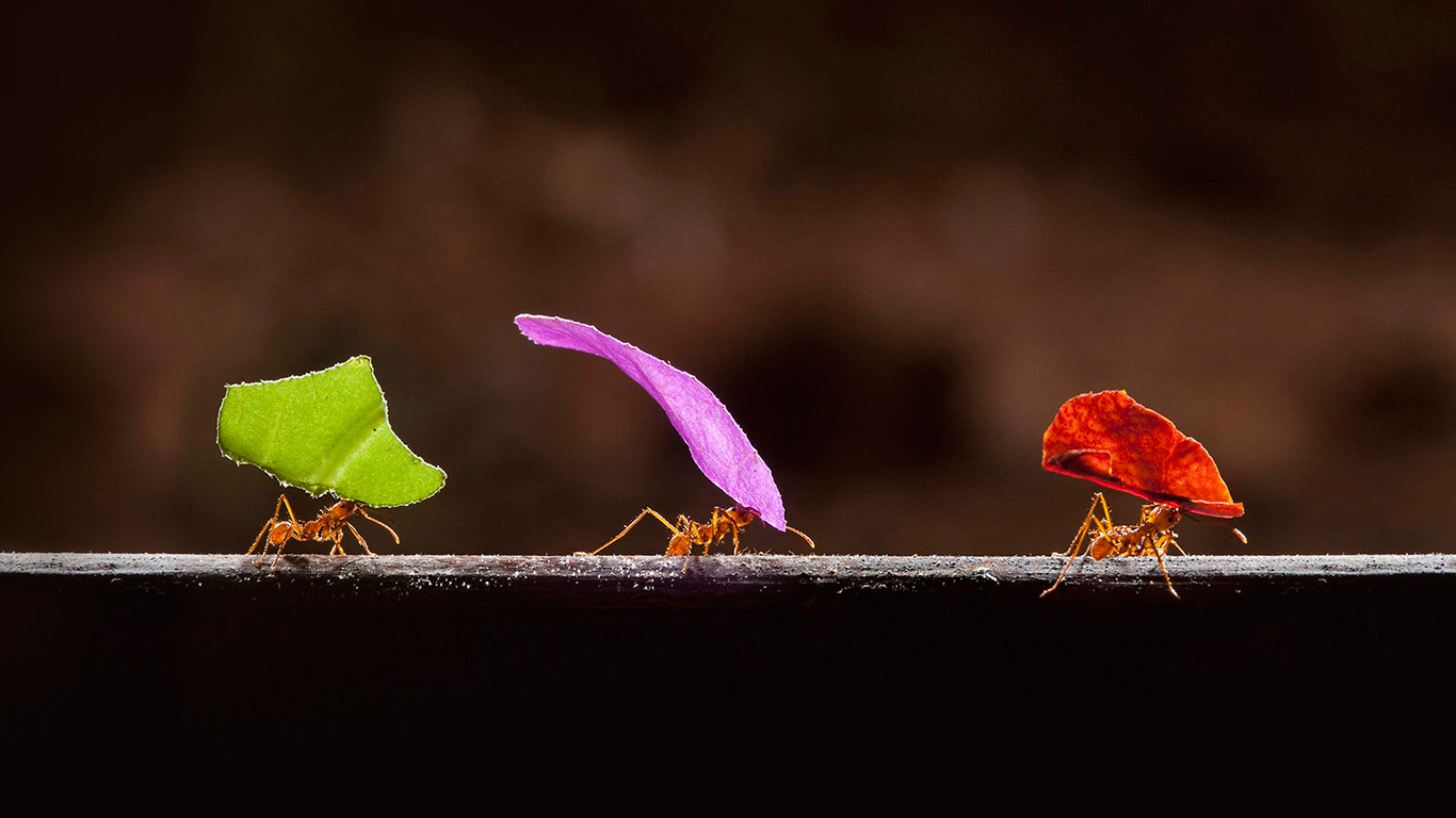 https://bing.ee123.net/img/rand?artid=146235989