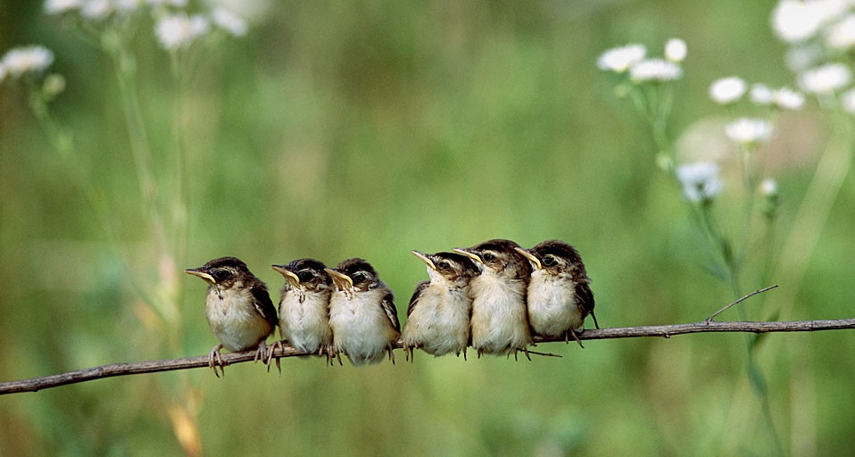 https://bing.ee123.net/img/rand?artid=146262193