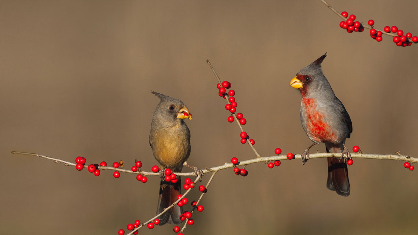 https://bing.ee123.net/img/rand?artid=146266677