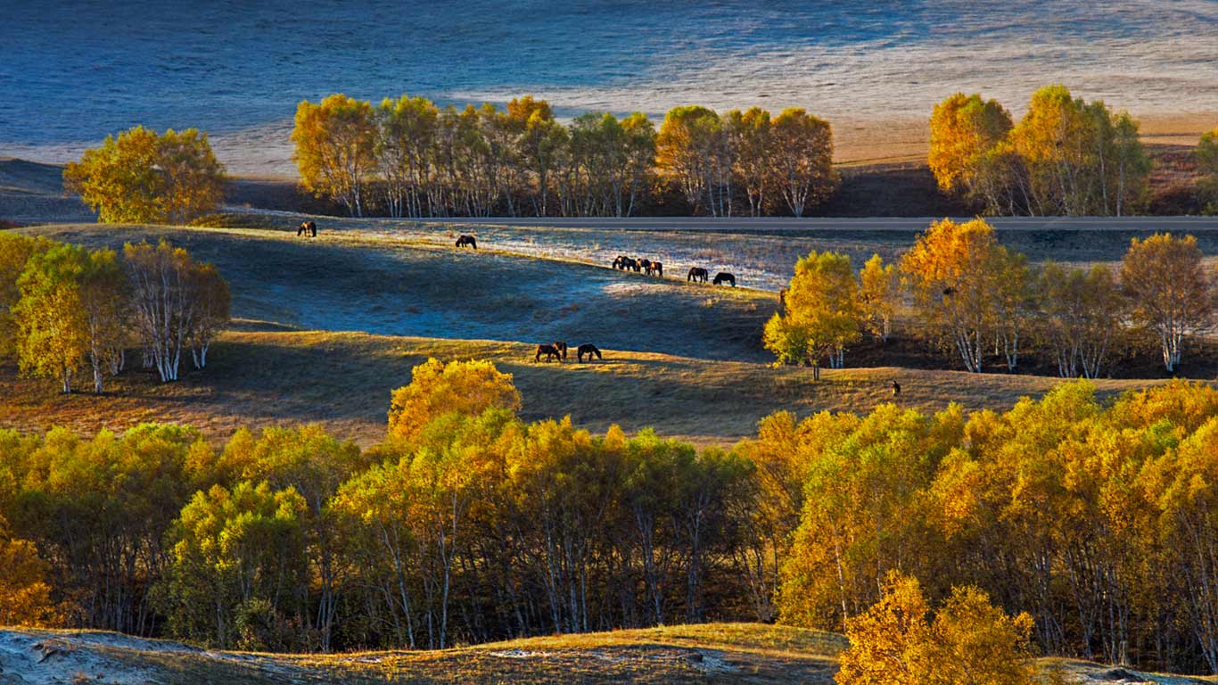 https://bing.ee123.net/img/rand?artid=146269576