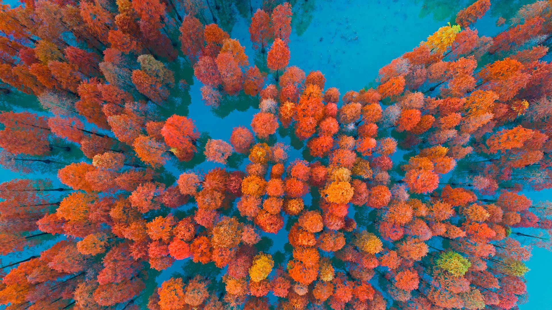 https://bing.ee123.net/img/rand?artid=146269586
