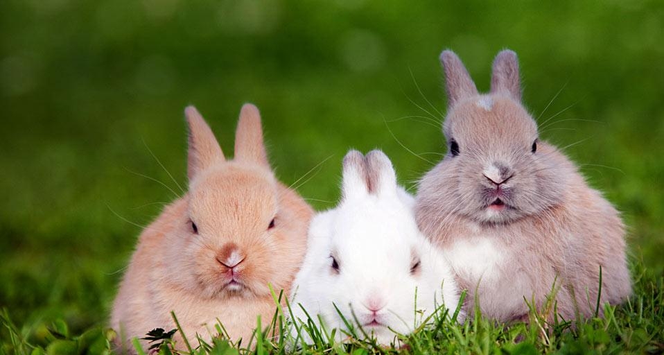 https://bing.ee123.net/img/rand?artid=1480151