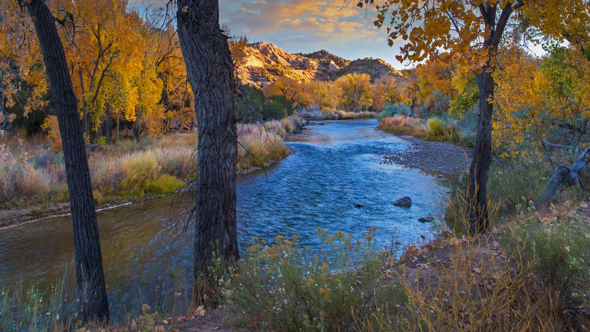 https://bing.ee123.net/img/rand?artid=1741706032